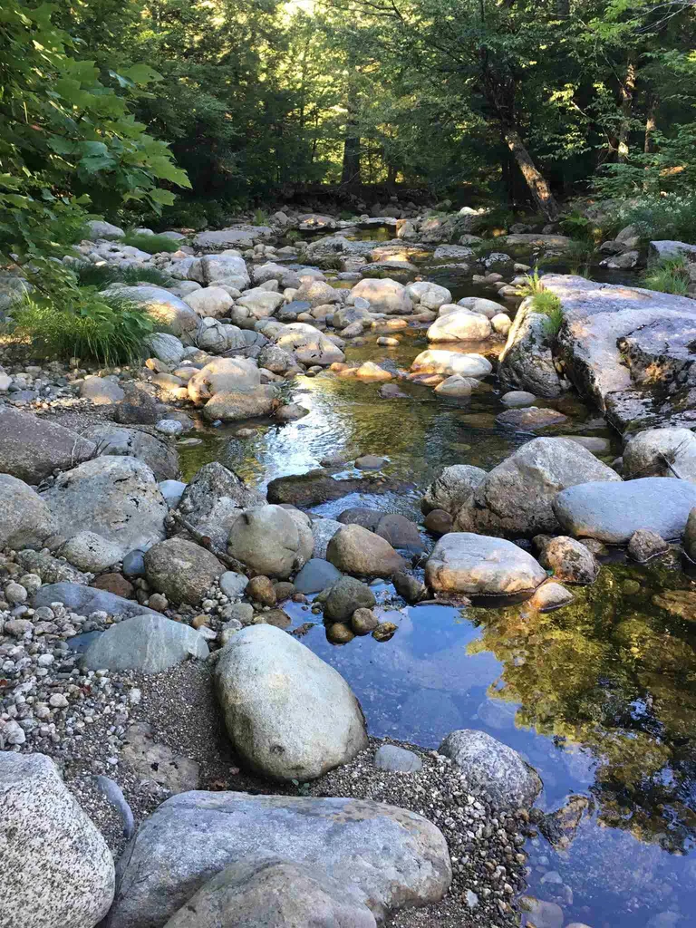 461 Welton Falls Road Alexandria NH 03222