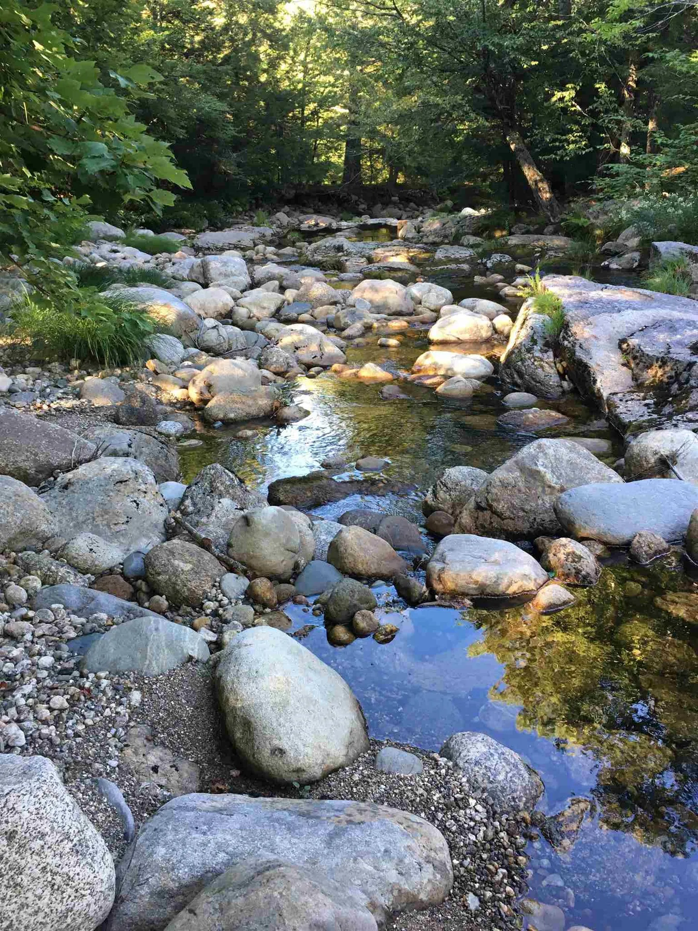 461 Welton Falls Road Alexandria NH 03222