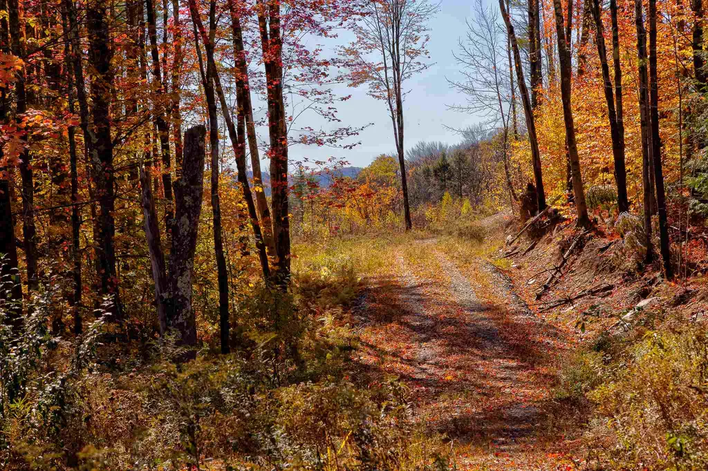 Derry Hill Road Acworth NH 03601