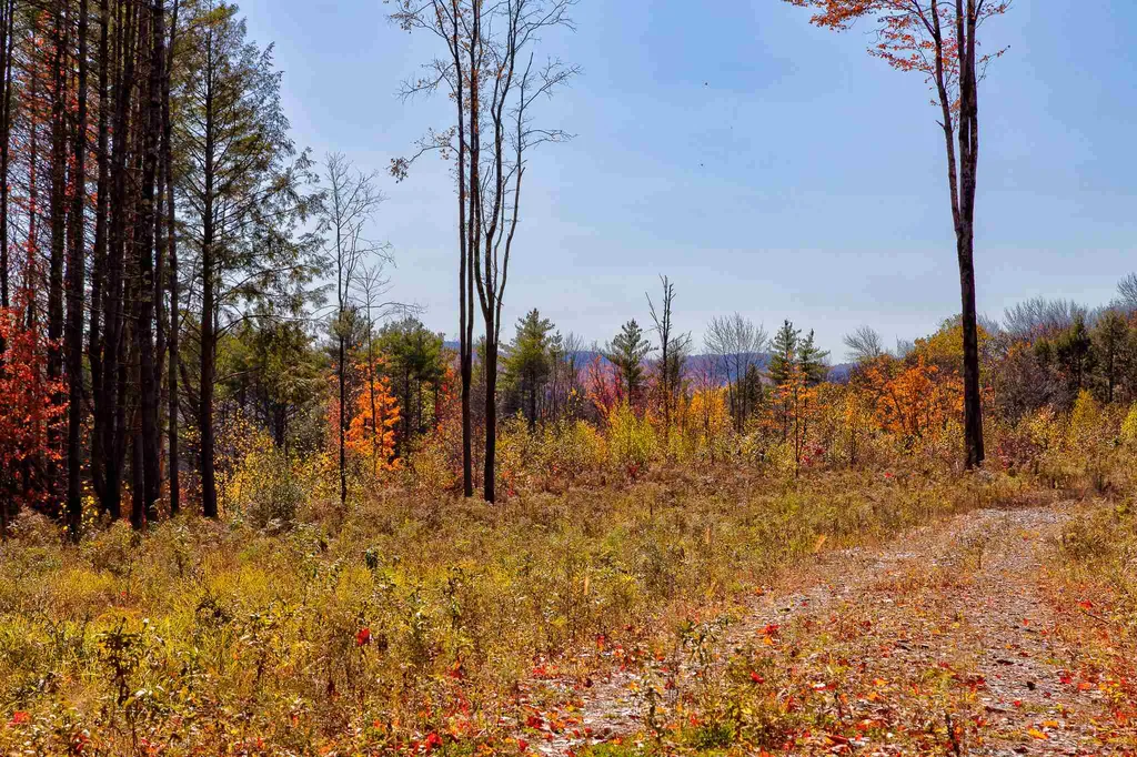 Derry Hill Road Acworth NH 03601