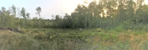 0 Pinkham Road Burke VT 05832