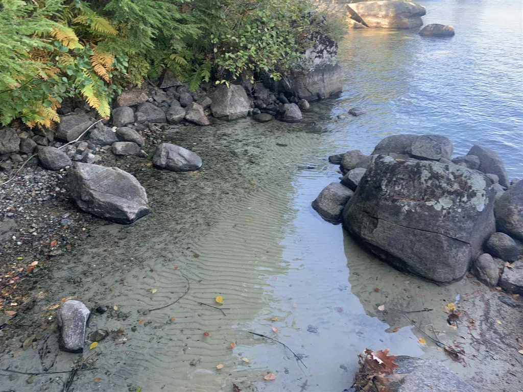 13 Loon Cove Road Alton NH 03810