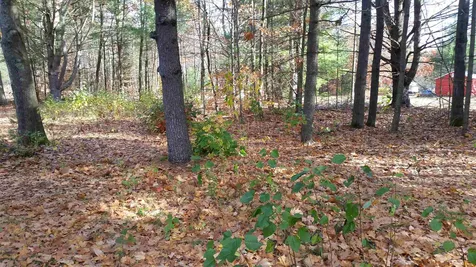 109 Murray Avenue Milton VT 05468