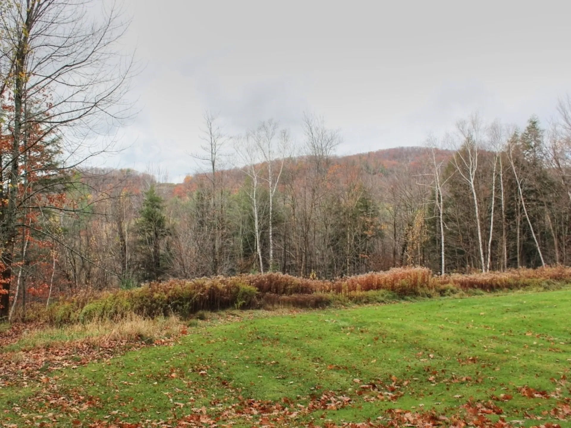 524 O'neill Drive Richmond VT 05477