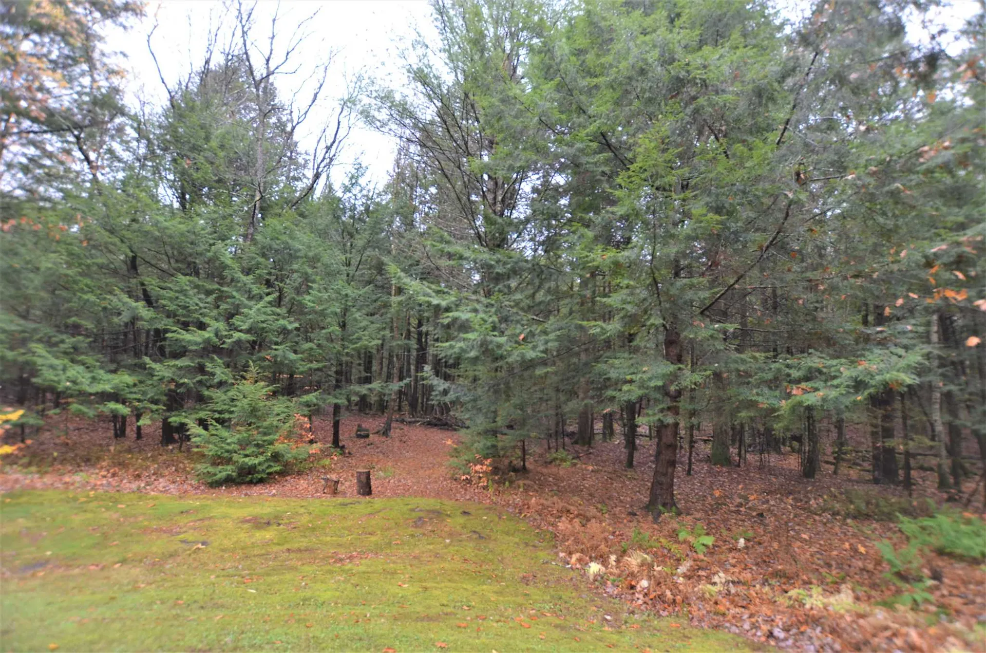 131 Bennington Road Hancock NH 03449