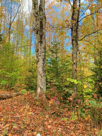 0 Route 122 Sheffield VT 05886