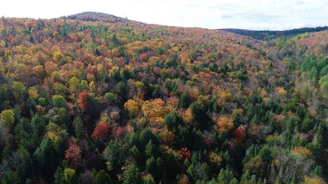 0 Route 122 Sheffield VT 05886