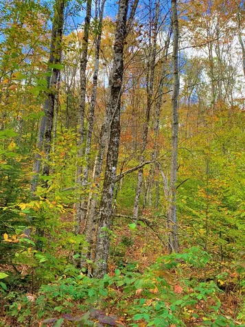 0 Route 122 Sheffield VT 05886
