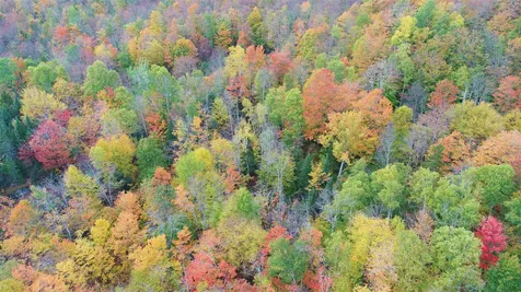 0 Route 122 Sheffield VT 05886