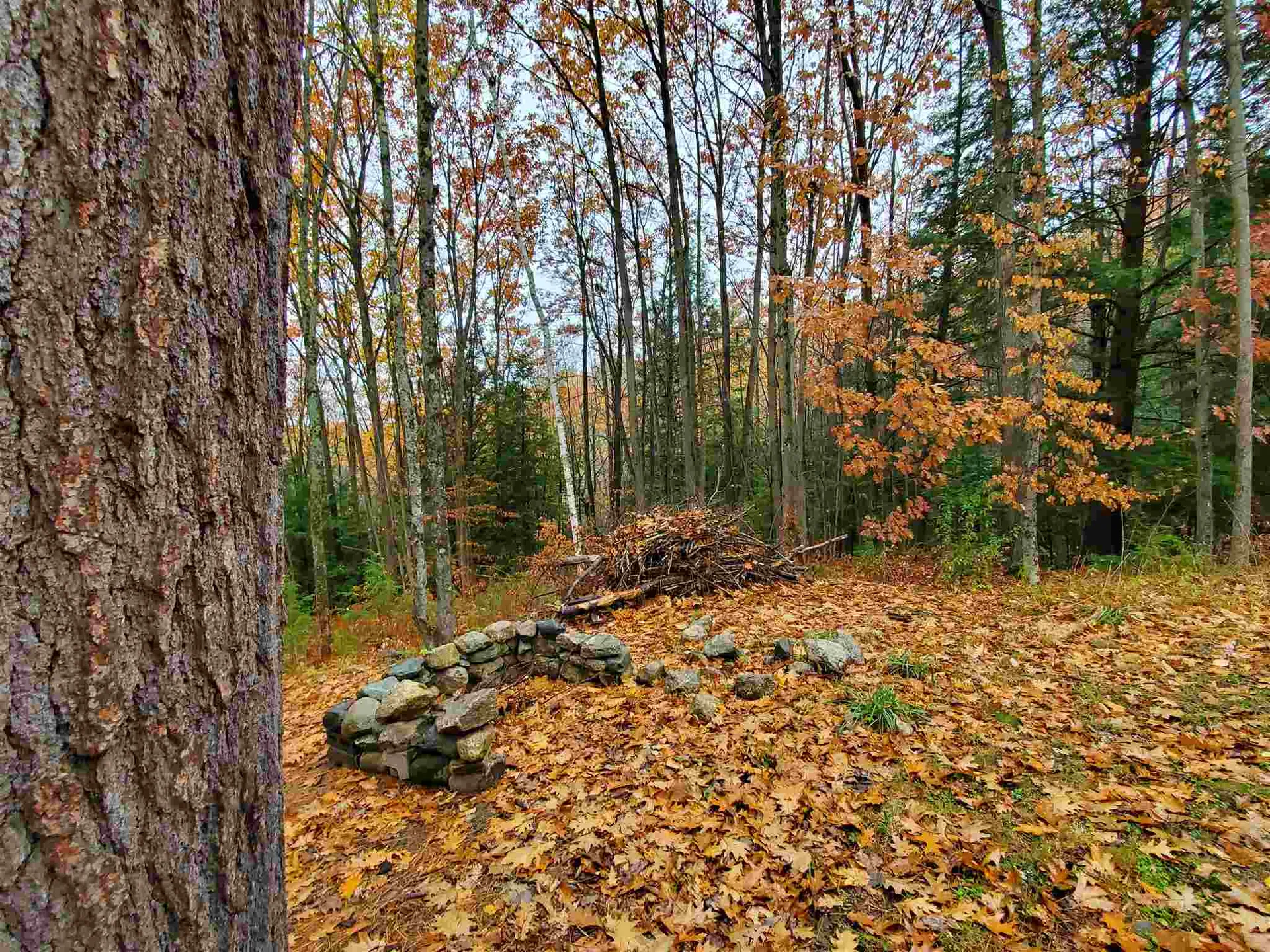 14 Adams Road Enfield NH 03748