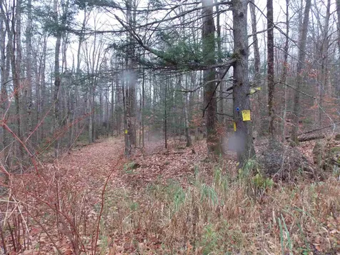 0 Chaos Turnpike Cavendish VT 05142