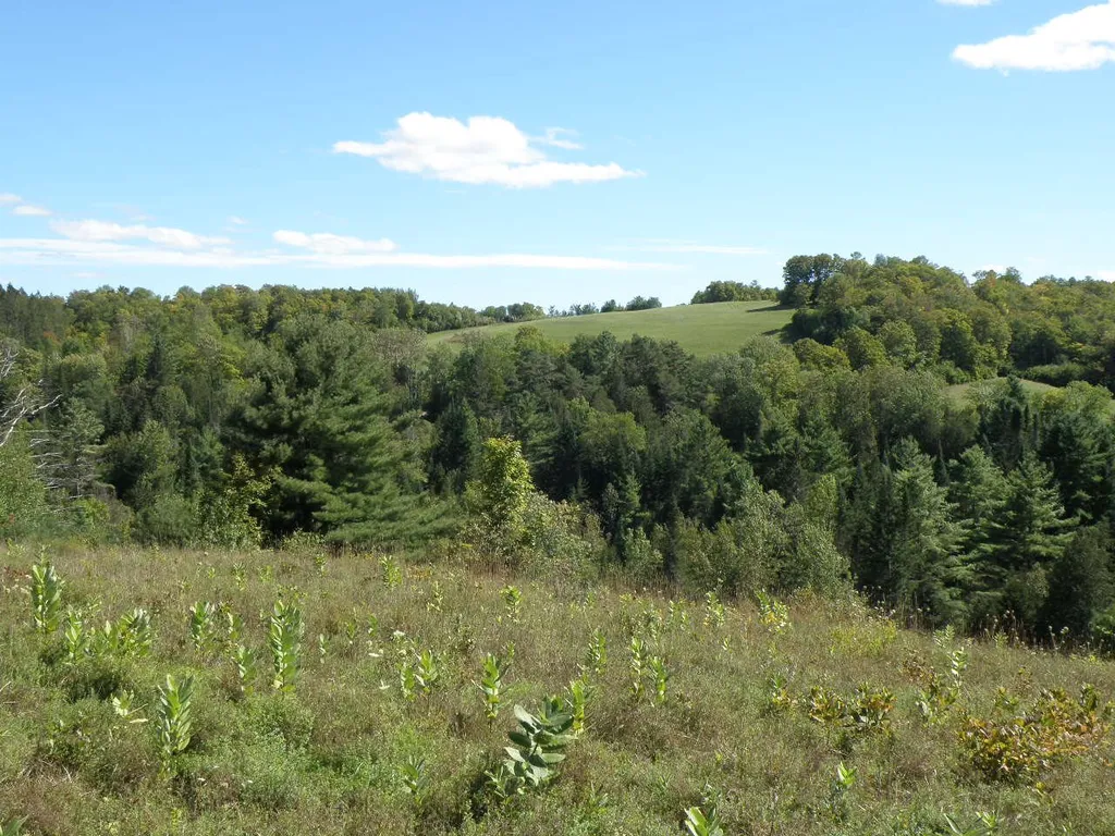 0 Zion Hill Road Topsham VT 05086