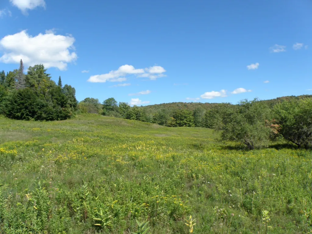 0 Zion Hill Road Topsham VT 05086