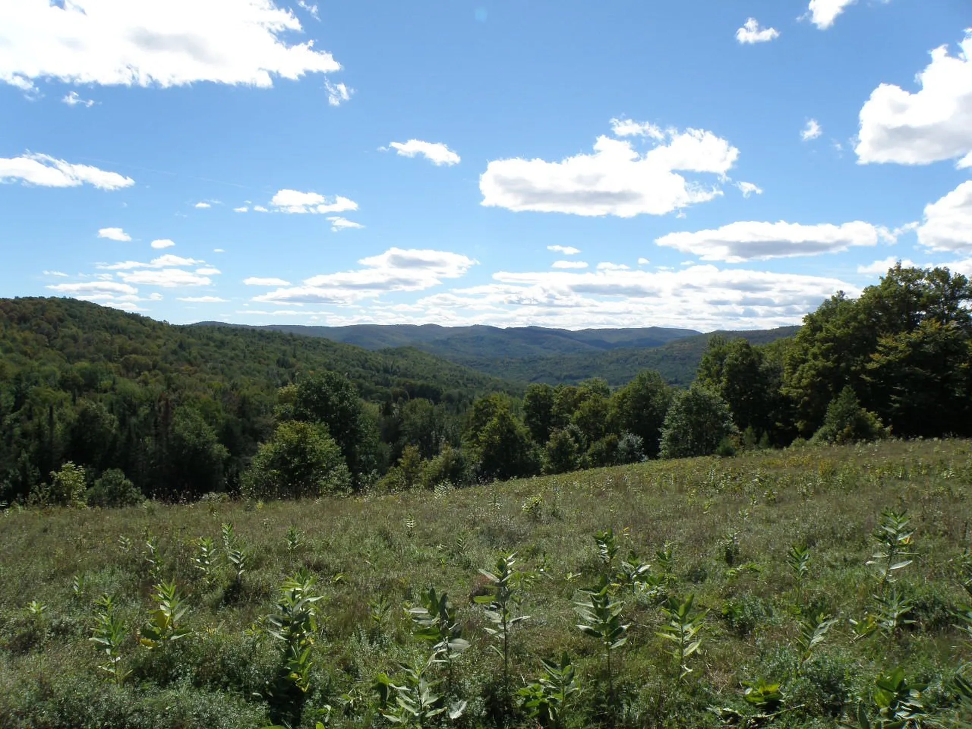 0 Zion Hill Road Topsham VT 05086