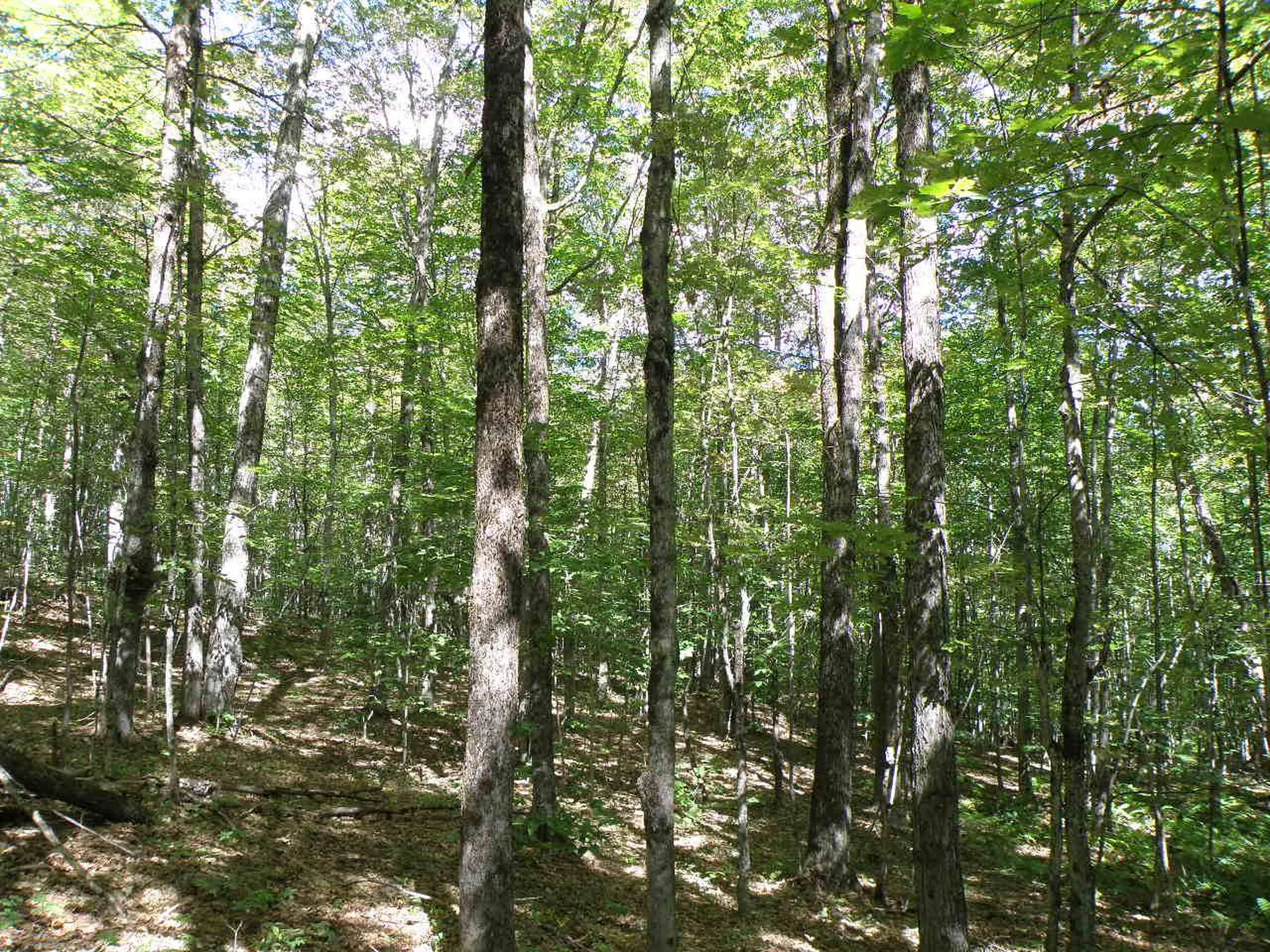 0 Zion Hill Road Topsham VT 05086