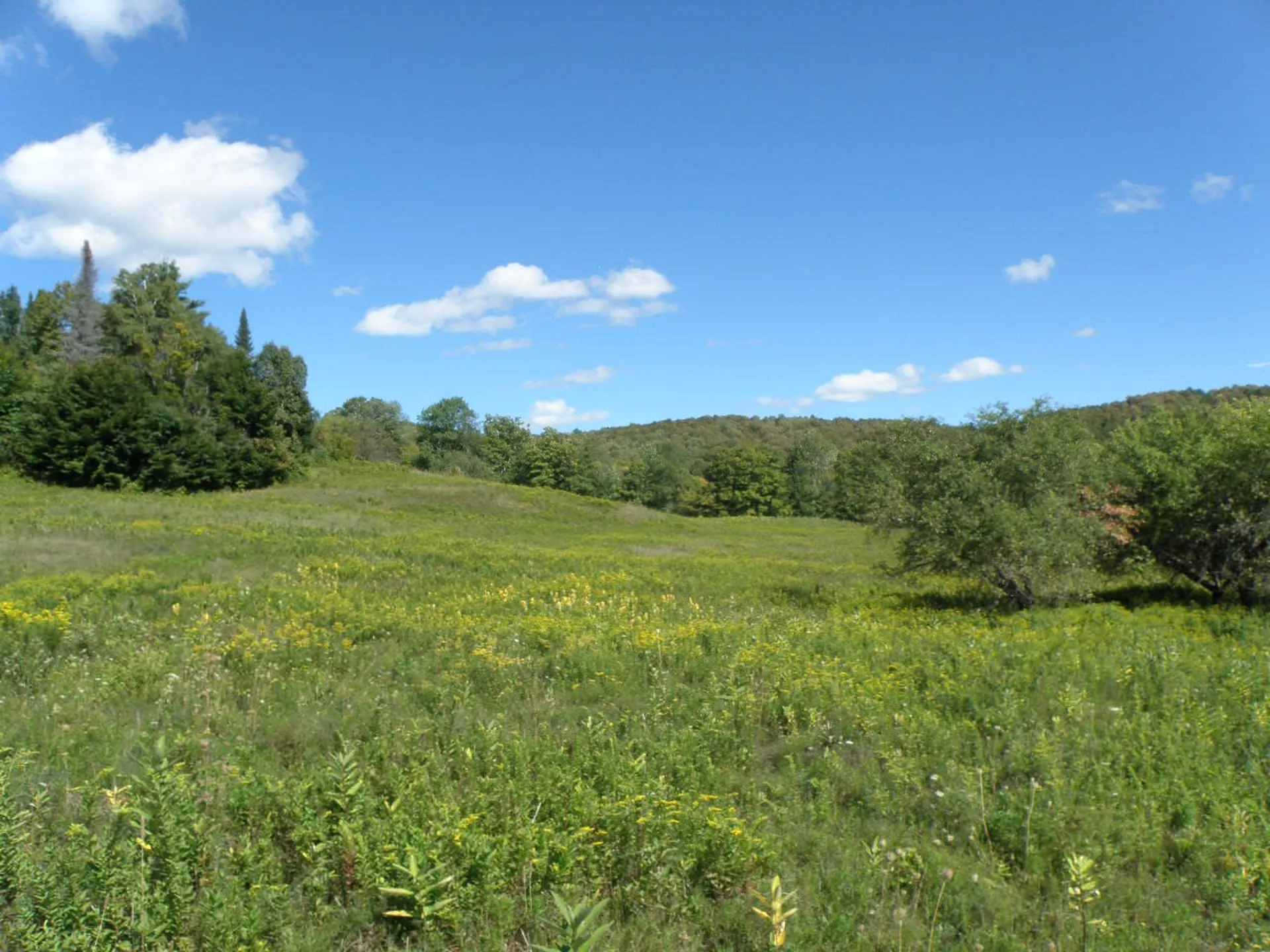 0 Zion Hill Road Topsham VT 05086