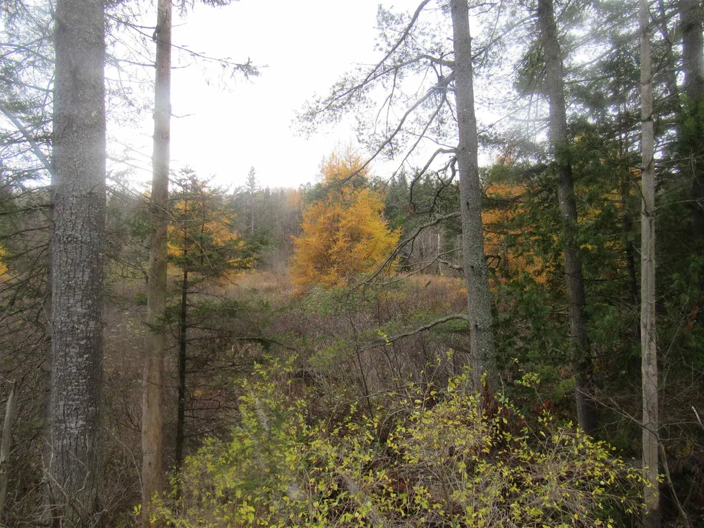 2093 Us Route 5 Sutton VT 05867