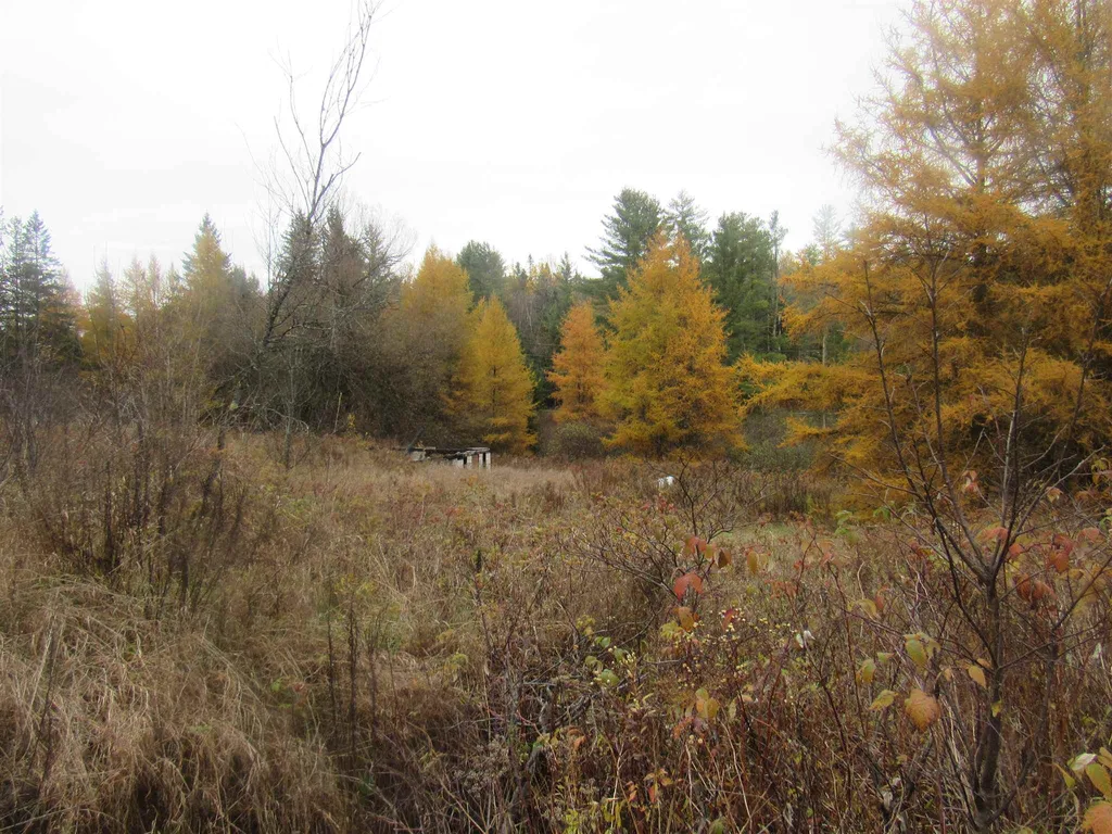 2093 Us Route 5 Sutton VT 05867