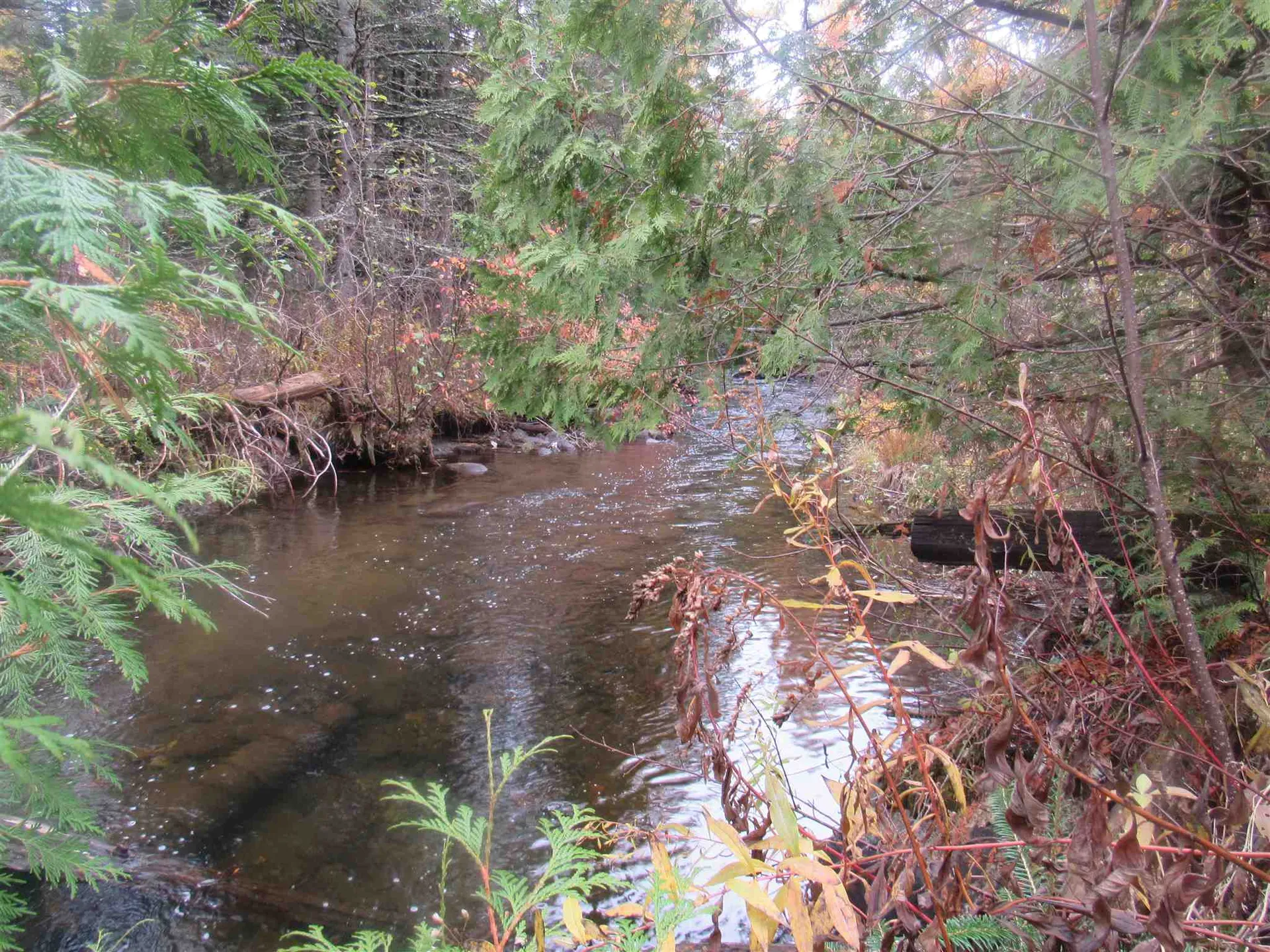 2093 Us Route 5 Sutton VT 05867