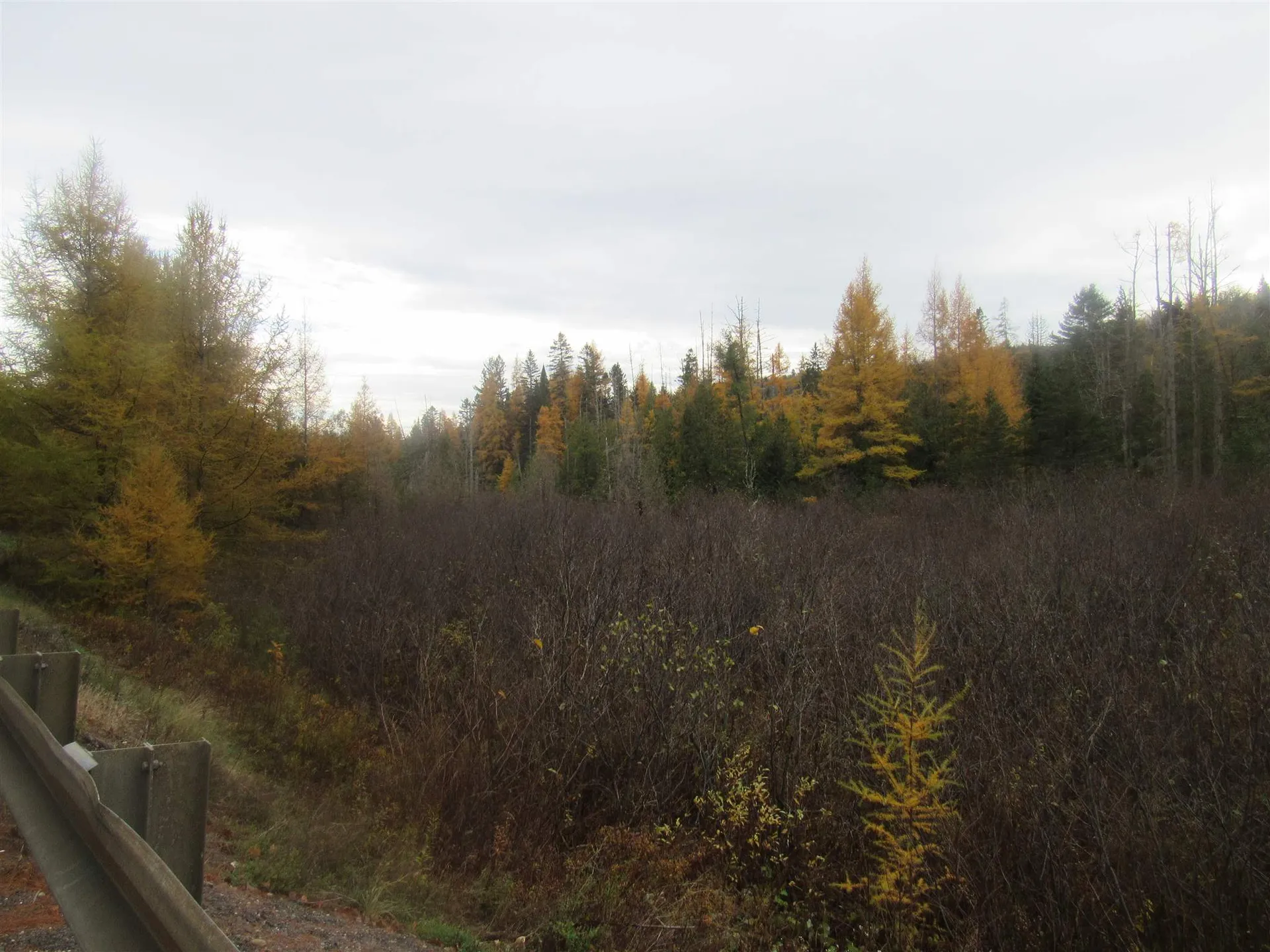 2093 Us Route 5 Sutton VT 05867