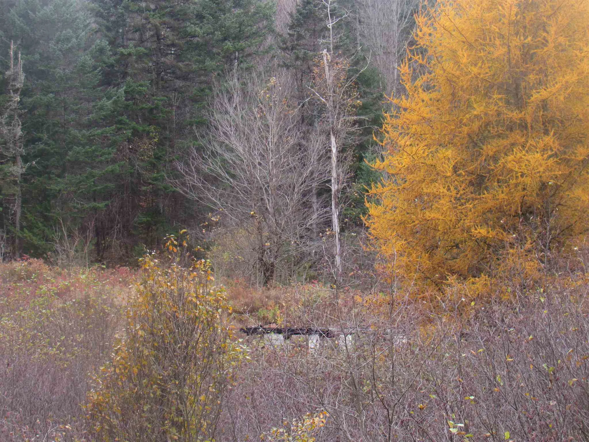 2093 Us Route 5 Sutton VT 05867