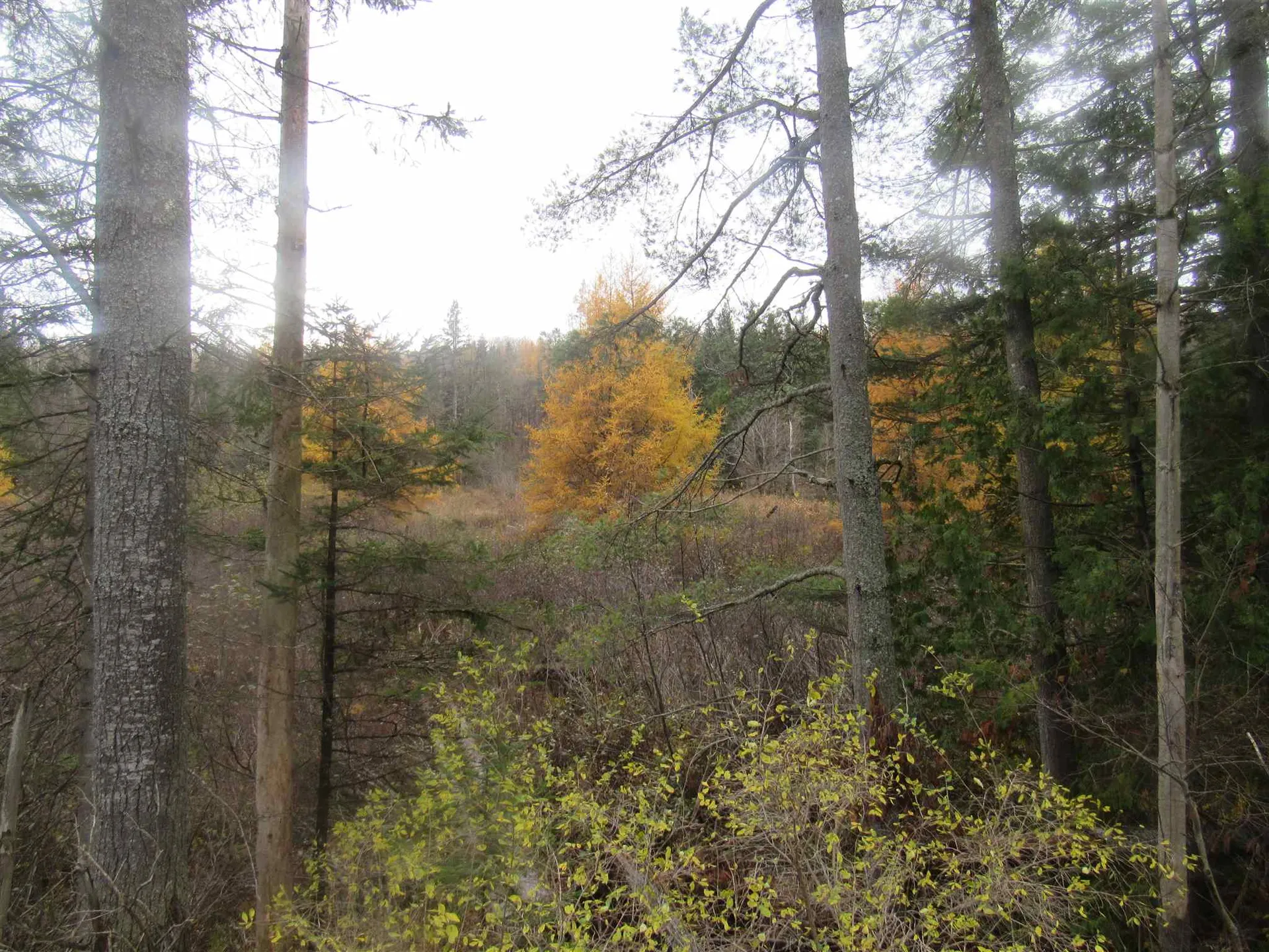 2093 Us Route 5 Sutton VT 05867
