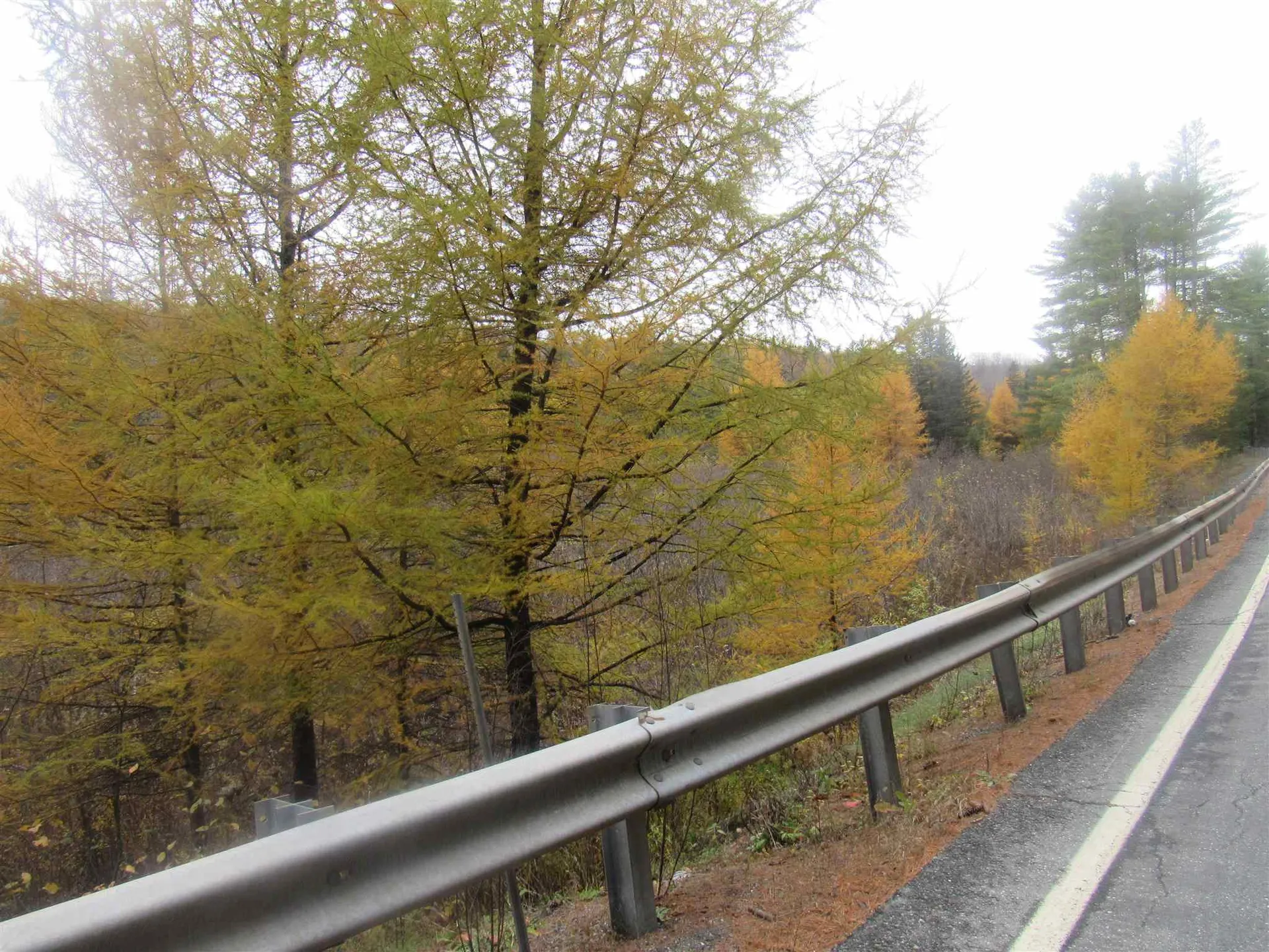 2093 Us Route 5 Sutton VT 05867