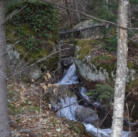 17 Landing Road Lincoln NH 03251