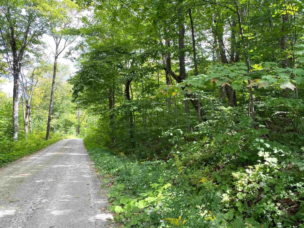 Lot Windham Springs Road Windham VT 05359