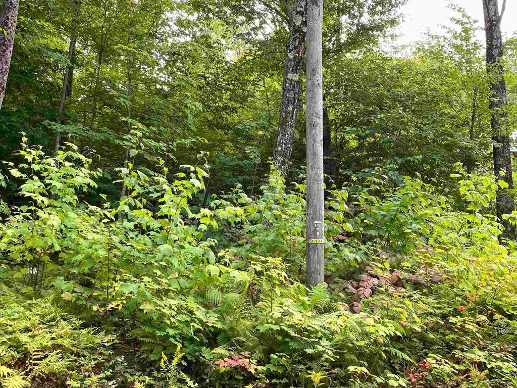 Lot Windham Springs Road Windham VT 05359