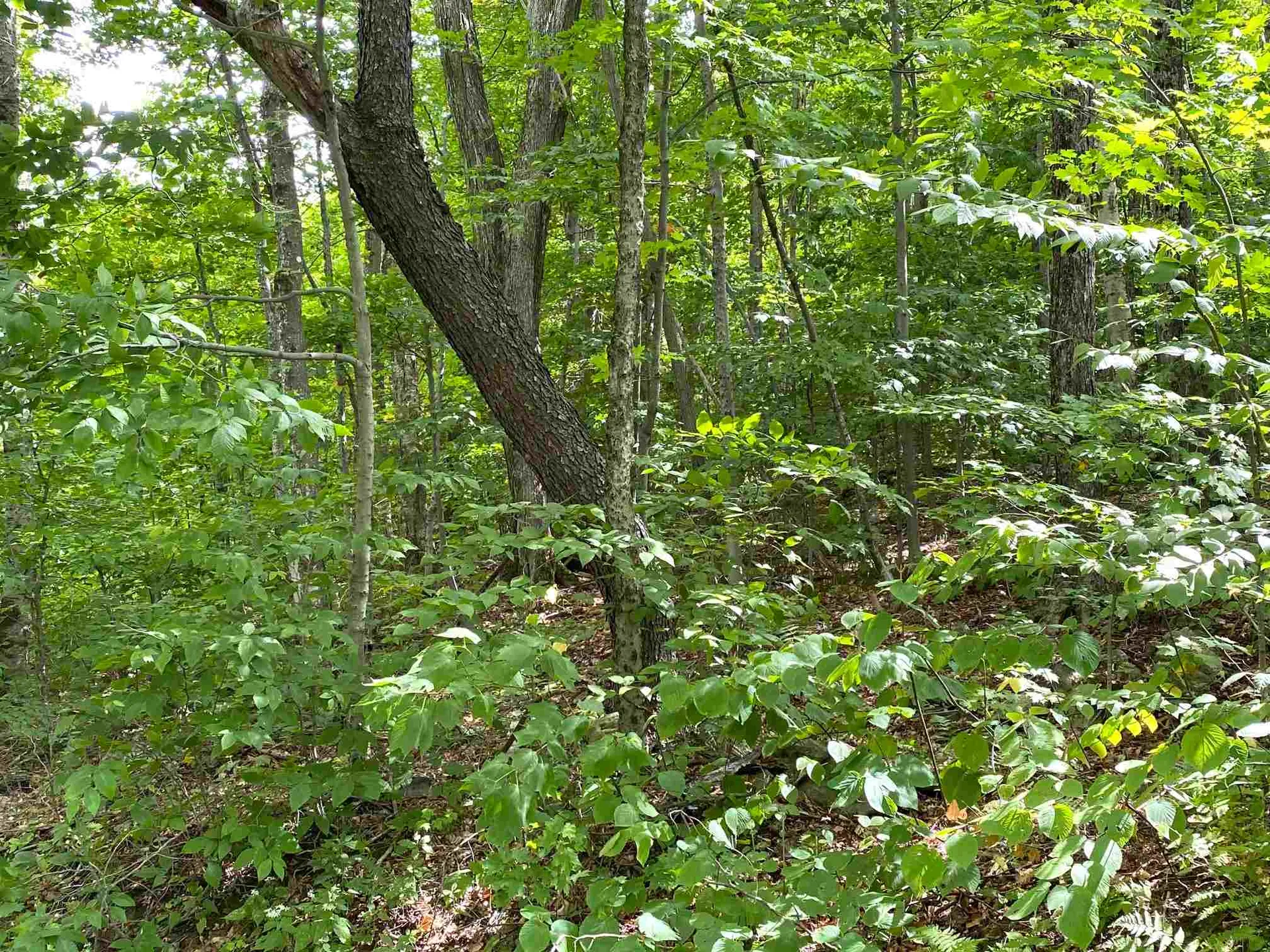 Lot Windham Springs Road Windham VT 05359