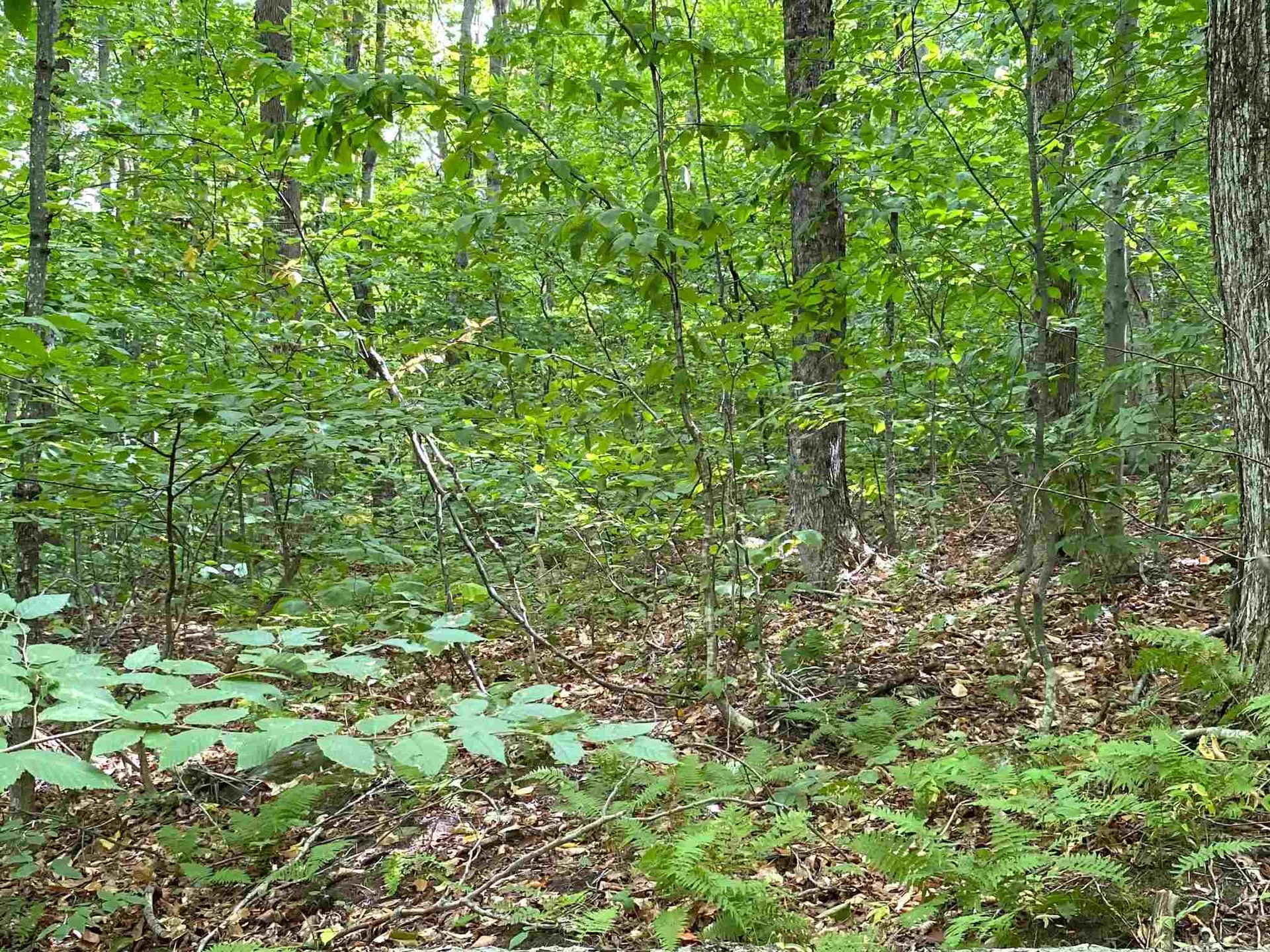 Lot Windham Springs Road Windham VT 05359