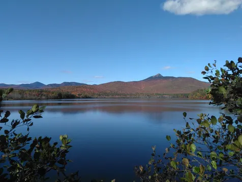 15 Black Bear Road Tamworth NH 03886