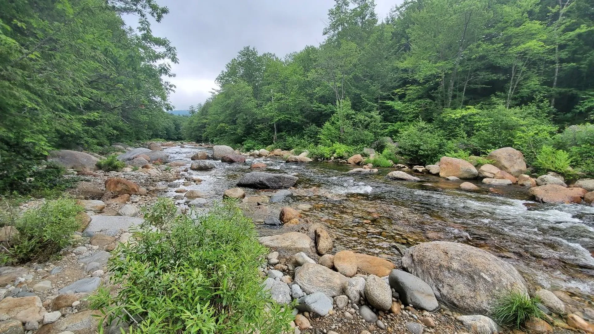 00 Route 16 Jackson NH 03846