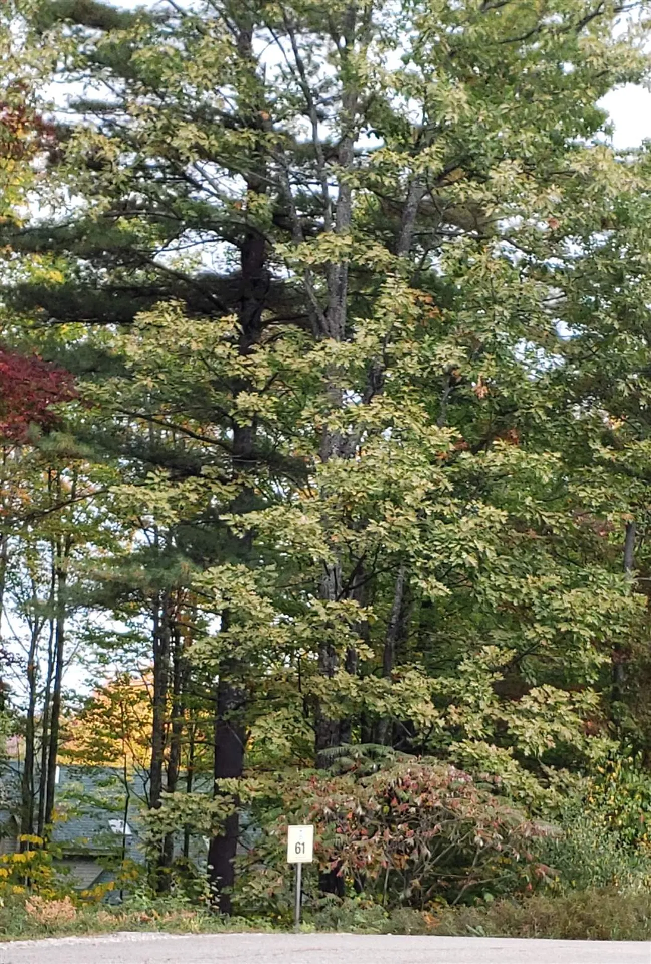 63 Dead Reckoning Point Laconia NH 03246