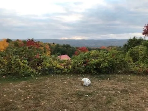 170 Wentworth Road Walpole NH 03608