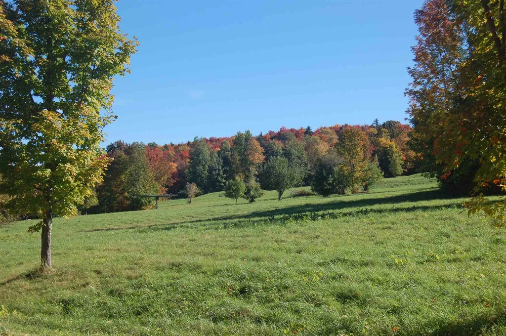 483 Fuller Farm Road Warren VT 05674