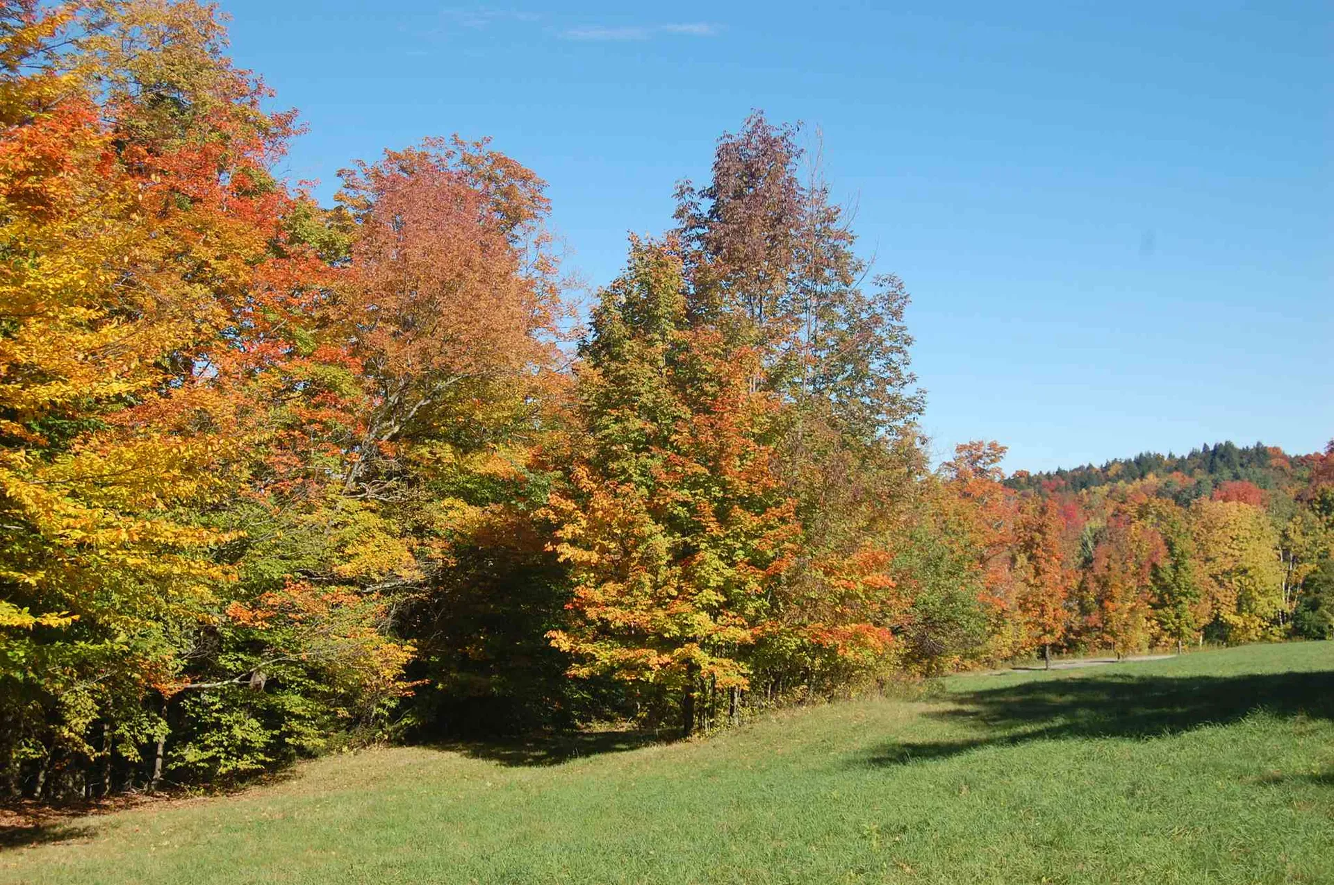 483 Fuller Farm Road Warren VT 05674