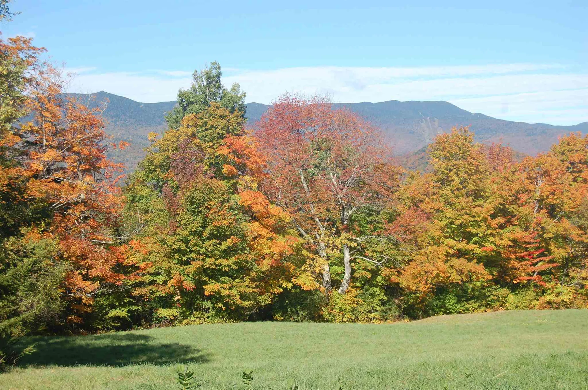 483 Fuller Farm Road Warren VT 05674