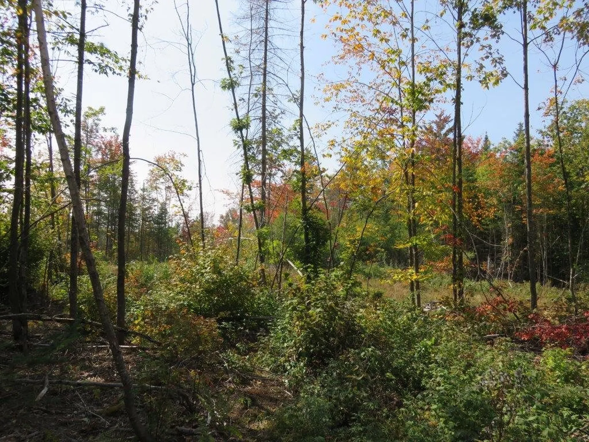 52 Eastman Road Canaan NH 03741