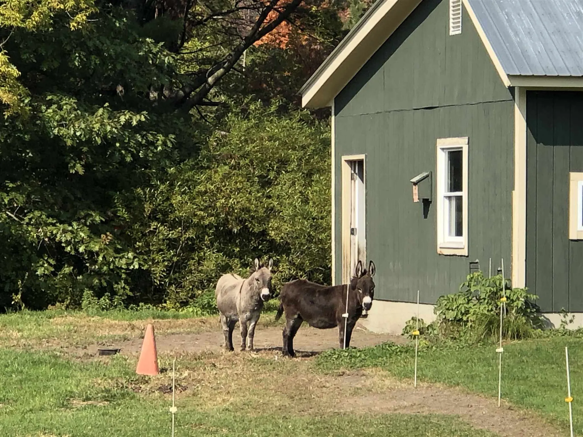 25 Burritt Lane Bristol VT 05443