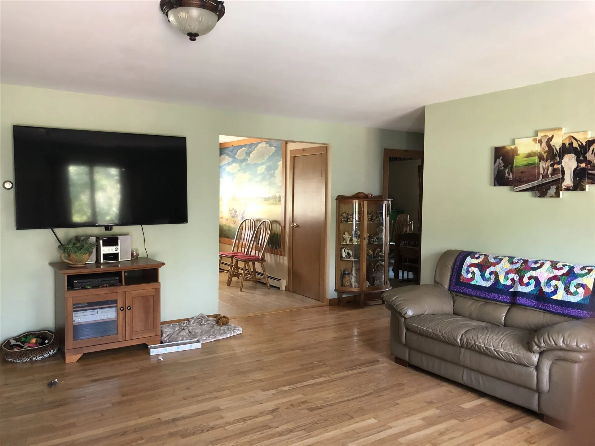 25 Burritt Lane Bristol VT 05443