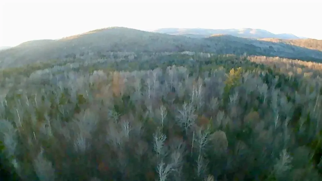 5559 Leonard Hill Road Concord VT 05824