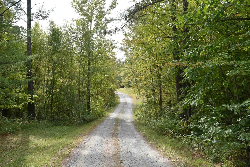 57 Moose Alley Johnson VT 05656