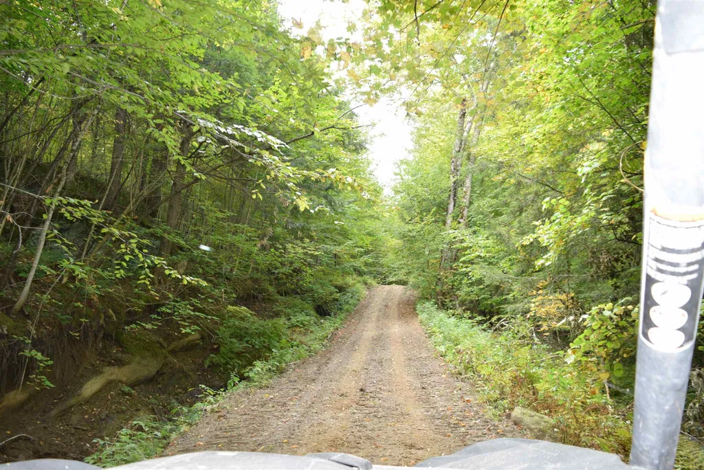 57 Moose Alley Johnson VT 05656