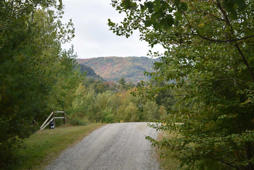 57 Moose Alley Johnson VT 05656