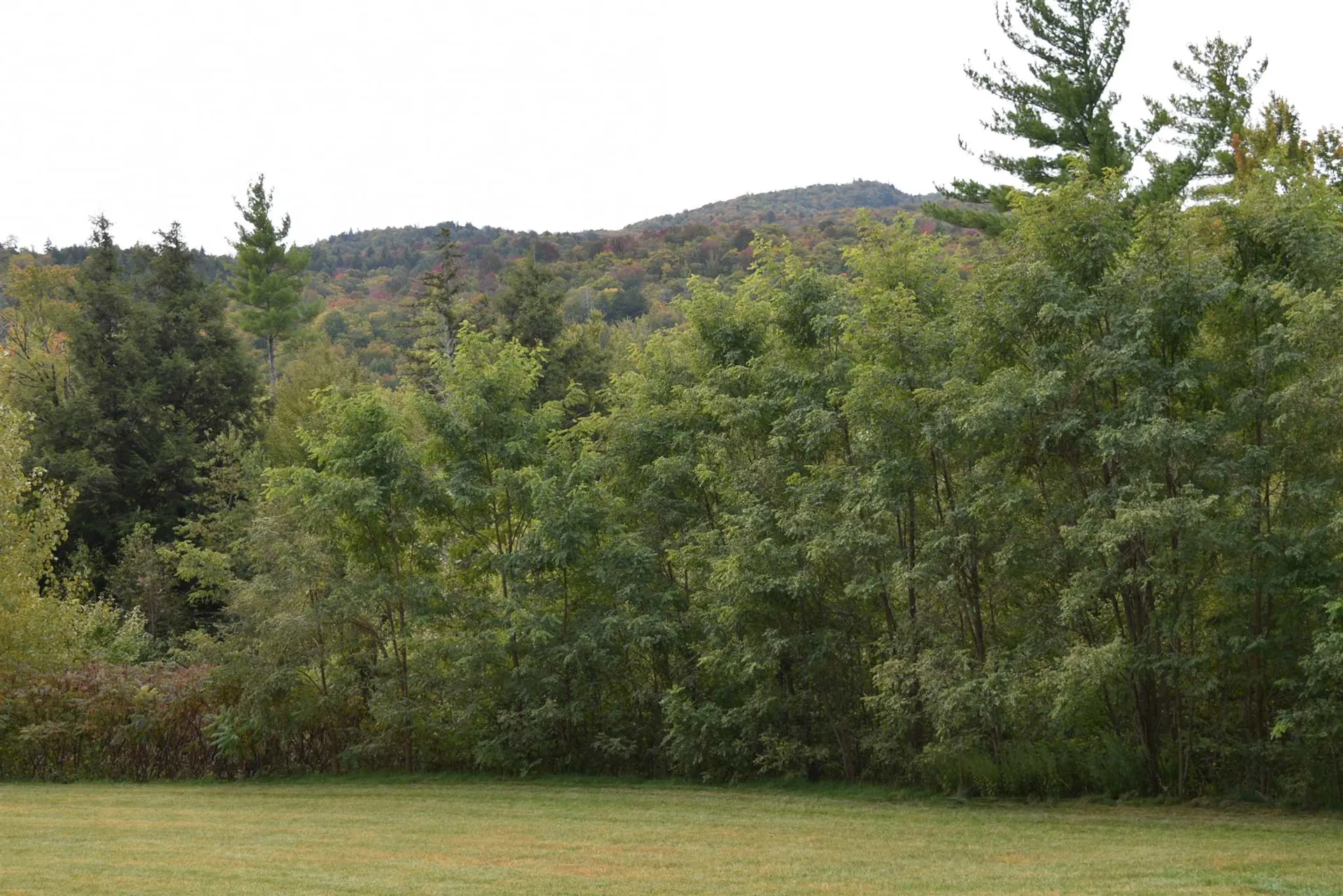 57 Moose Alley Johnson VT 05656