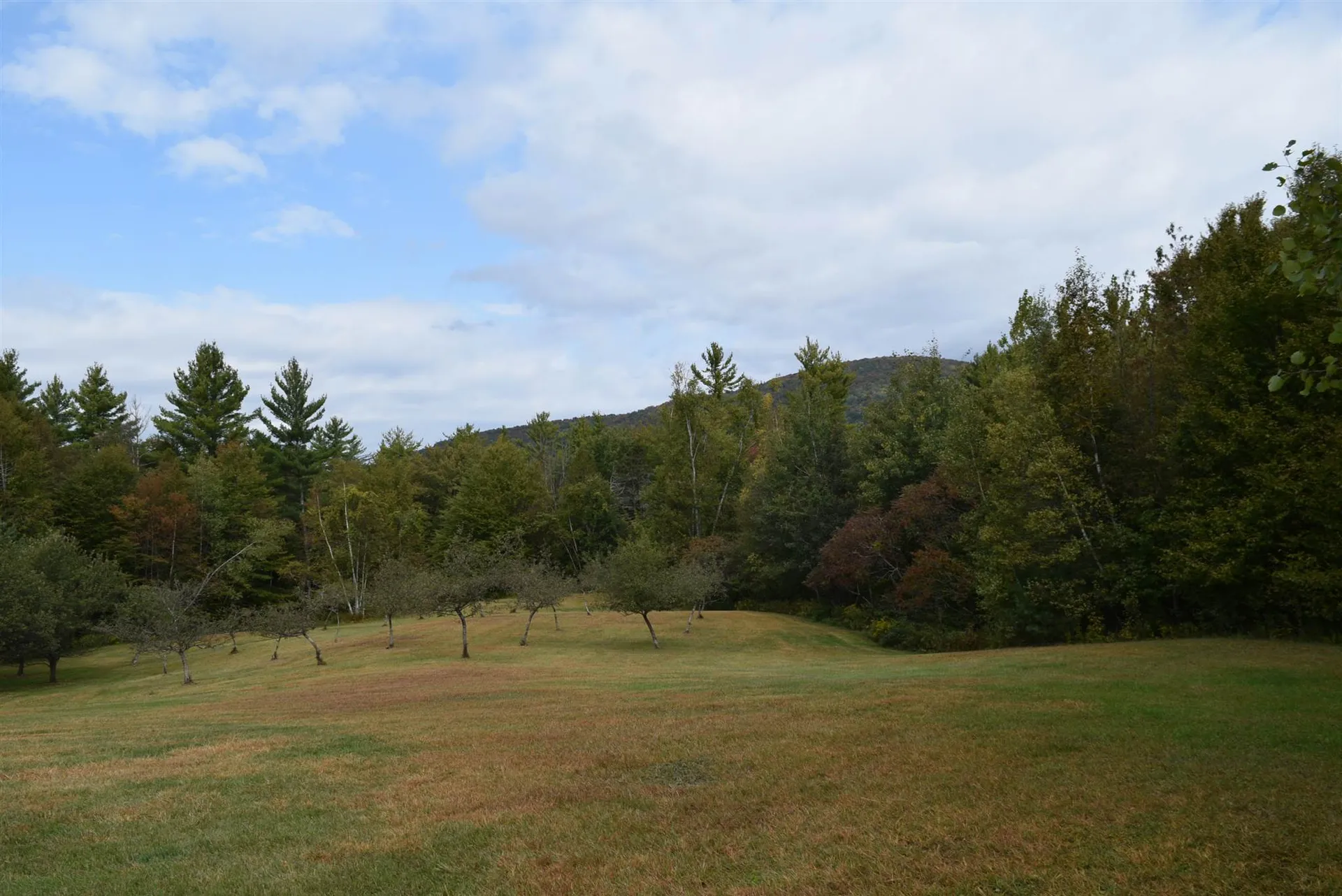 57 Moose Alley Johnson VT 05656