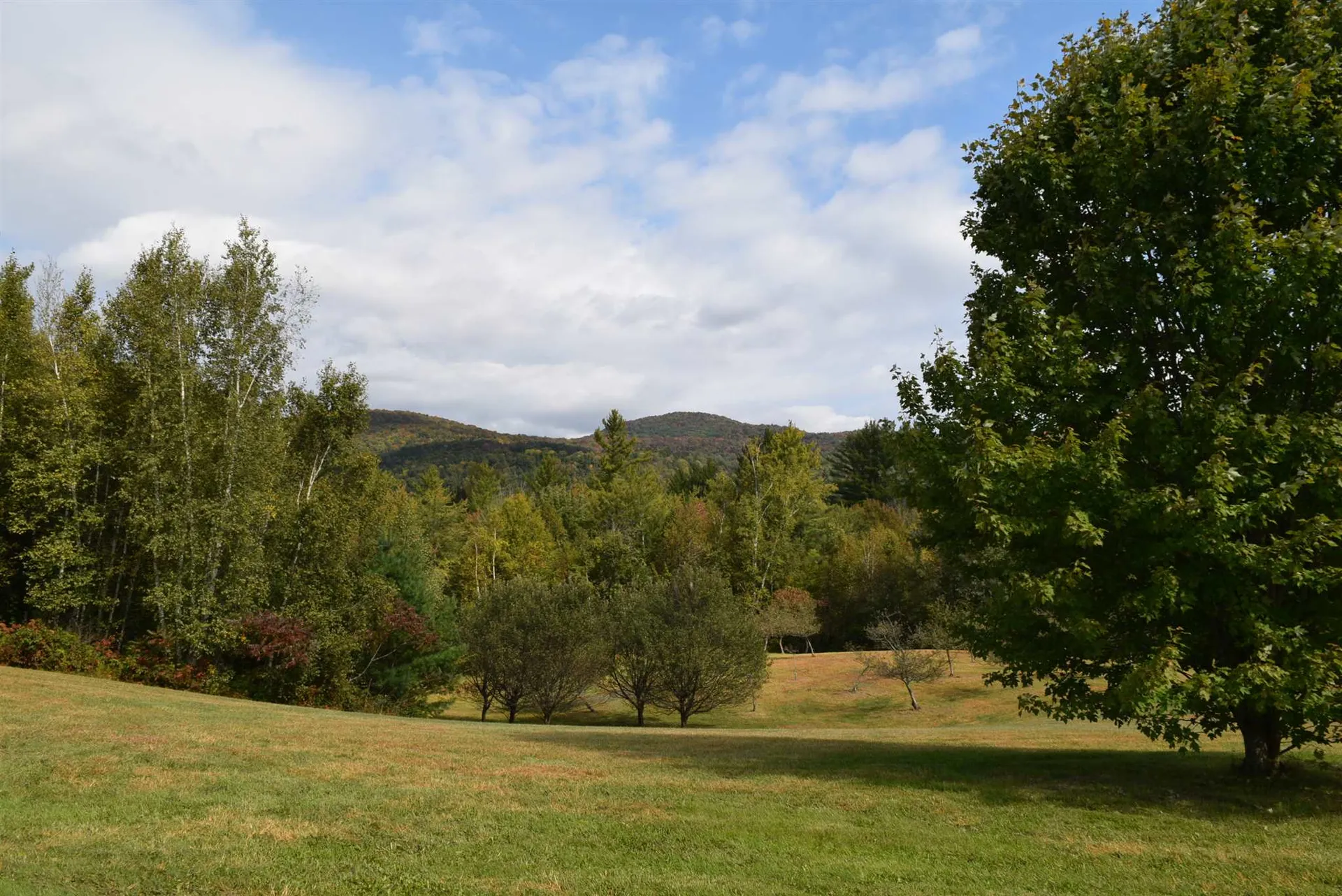 57 Moose Alley Johnson VT 05656