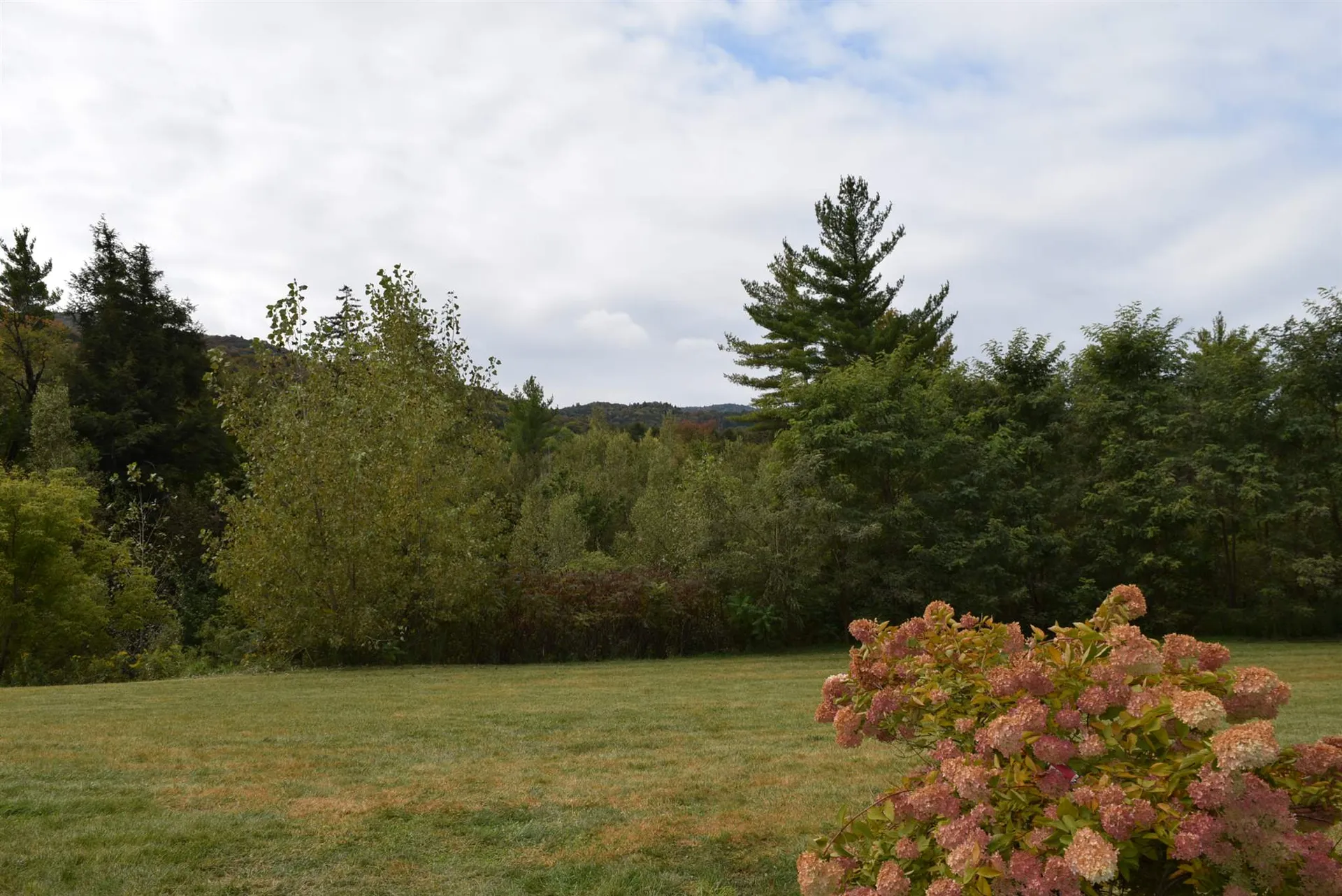 57 Moose Alley Johnson VT 05656
